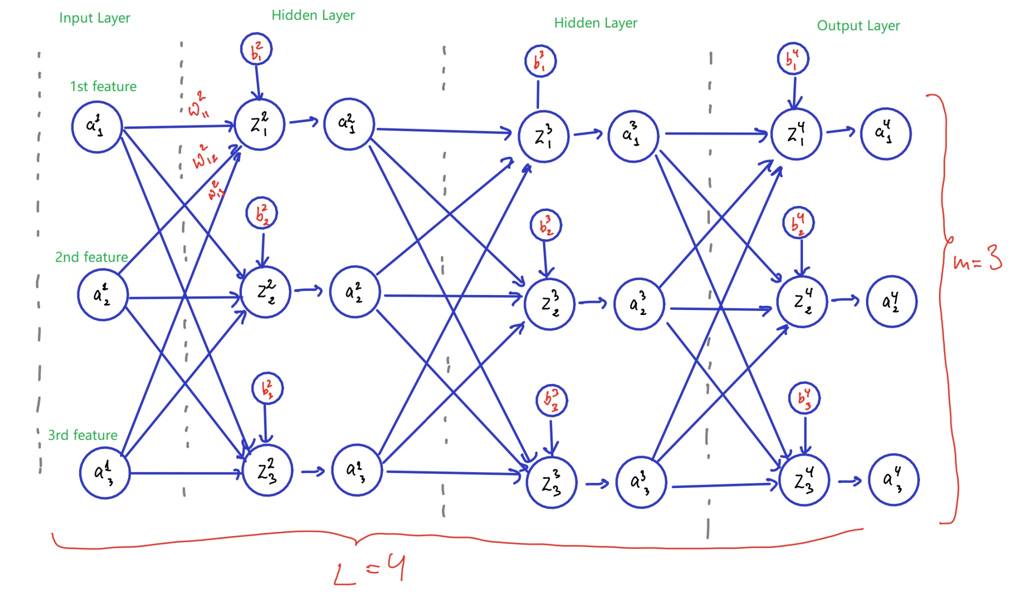 Neura_networ_structure