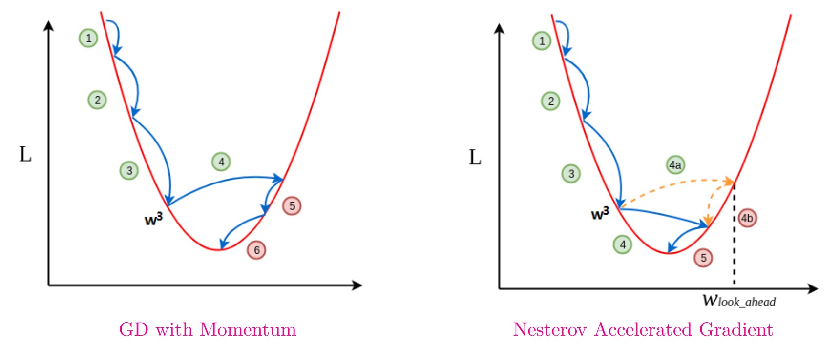 Principle_of_NAG